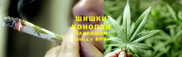 PSILOCYBIN Белоозёрский